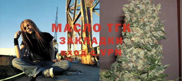 ПСИЛОЦИБИНОВЫЕ ГРИБЫ Гусев