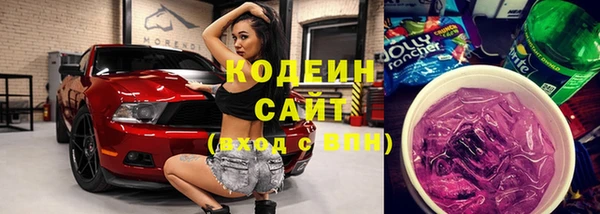 ПСИЛОЦИБИНОВЫЕ ГРИБЫ Гусев