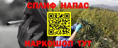 ПСИЛОЦИБИНОВЫЕ ГРИБЫ Балашиха