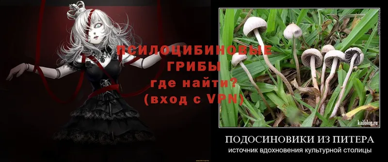 Галлюциногенные грибы Magic Shrooms  Донецк 