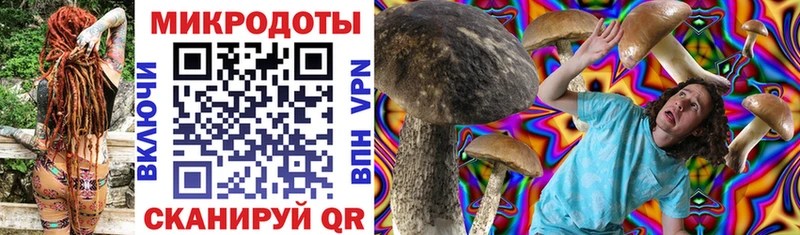 Псилоцибиновые грибы Psilocybe  где найти   даркнет Telegram  Донецк 