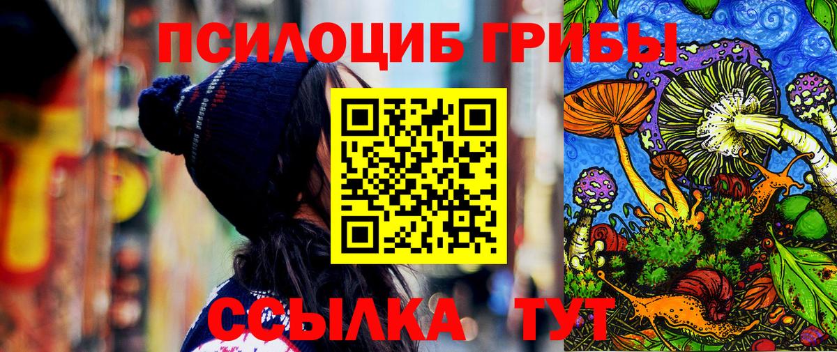 Псилоцибиновые грибы прущие грибы  Донецк 
