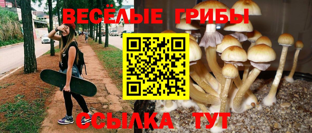 Галлюциногенные грибы мухоморы Донецк