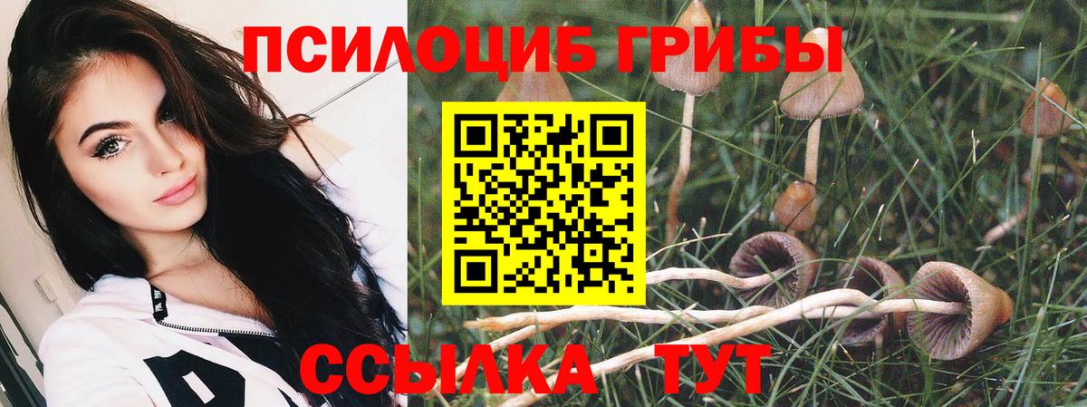 Галлюциногенные грибы GOLDEN TEACHER  наркошоп  Донецк  Вход с VPN 